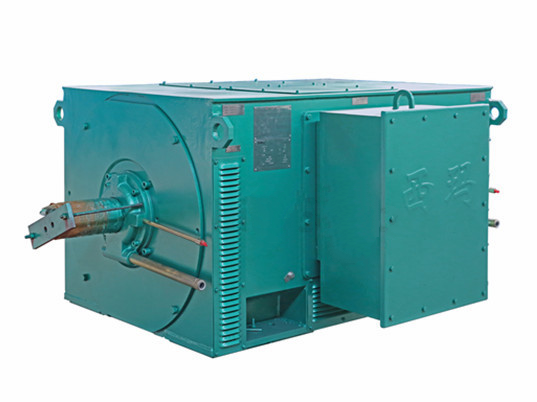 西瑪電機(jī)Y系類IP23髙壓三相電壓異步電動(dòng)機(jī)