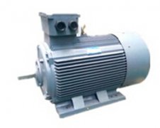 貴州雙速西YE3電機(jī)瑪電機(jī)型號(hào)
