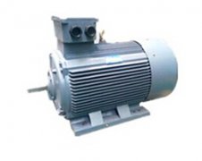 拉薩中型電YE2電機動機價格