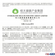 控股e-Traction布局輪轂西電動機瑪電機 恒大完善產業鏈布局