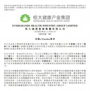 恒大收購國際先進輪轂JR電機電機技術 完成新能源汽車