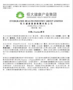 收購最頂尖輪轂西瑪電機電機廠技術 恒大“頂配”造車天團