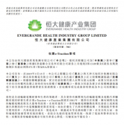 恒大收購國際最先進輪YE3電機轂電機技術 完成新能源汽
